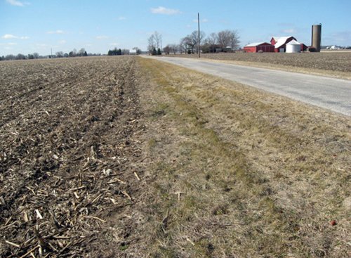 Property photo 3 - 127 Acres Offered in 4 Tracts